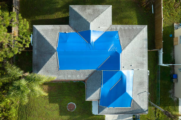 Best Asphalt Shingles Roofing  in Sebastian, TX